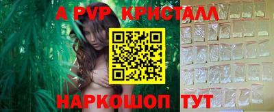спиды Будённовск